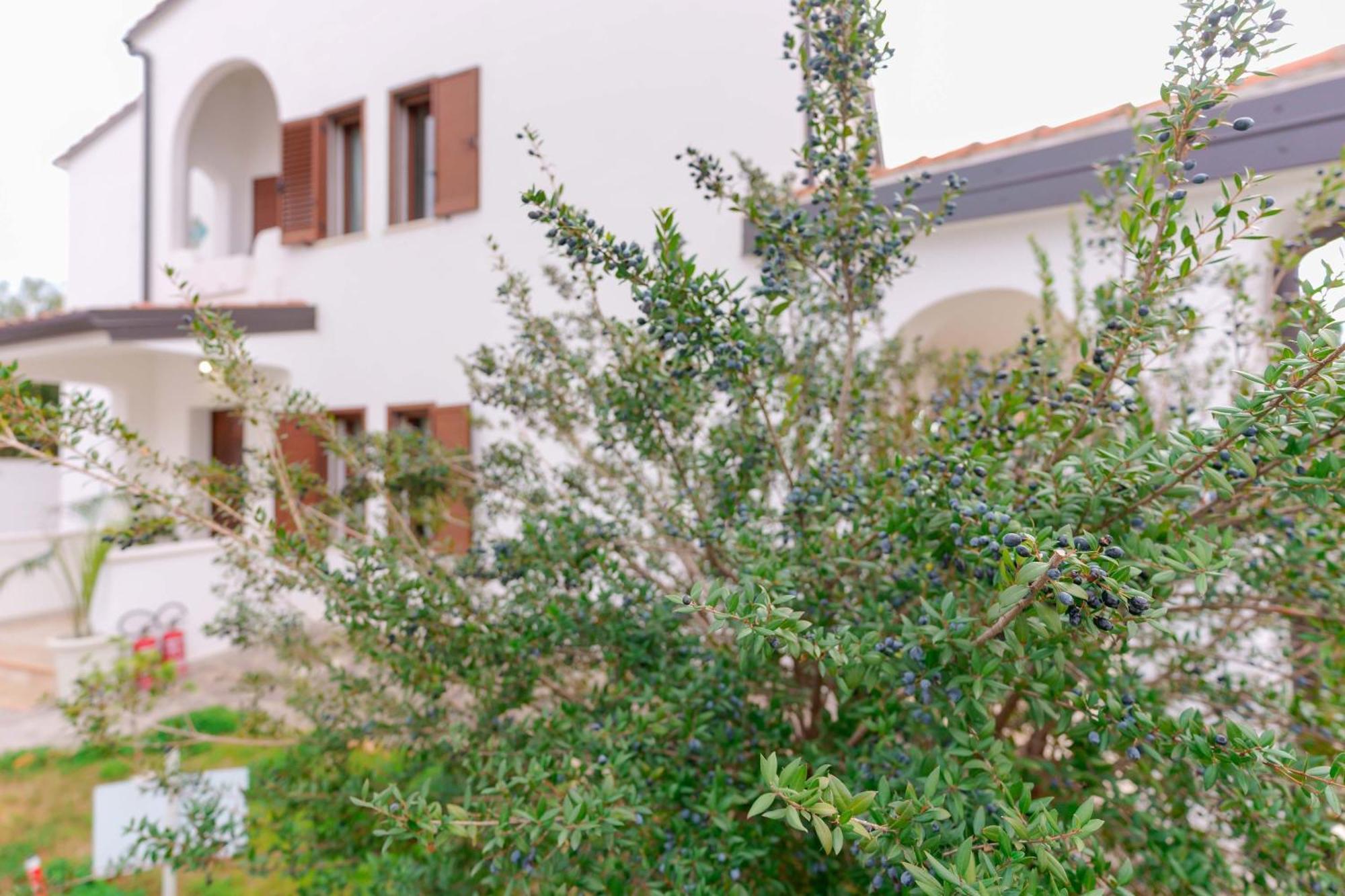 Villa Wunjo Iun R3267 La Maddalena  Exterior photo